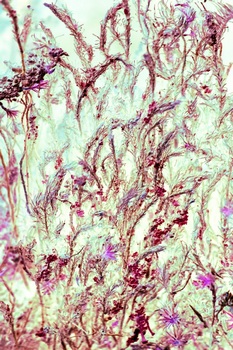 N 010A